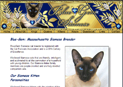 Siamese cat breeders - Blue - Gem