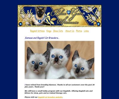 Siamese cat breeders - Blue - Gem