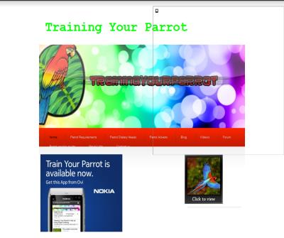 Training your parrot
