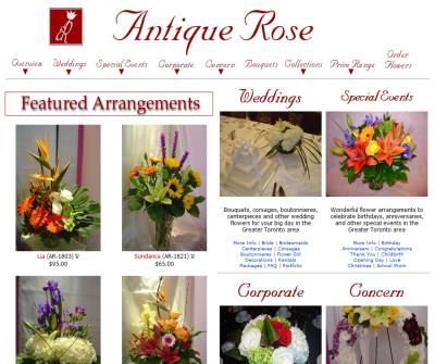 Antique Rose - Toronto Florist