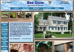 Bee Gone Bee Removal