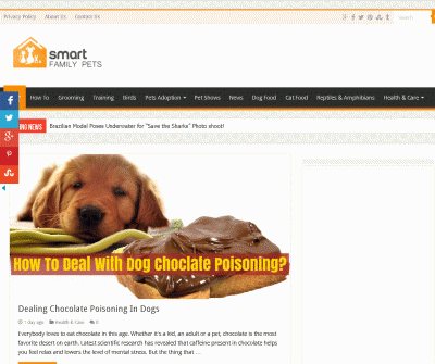 Smart Family Pets - Dog Food Products, Cat Food Products, Pets Adoption, Pets Grooming, Pets Health