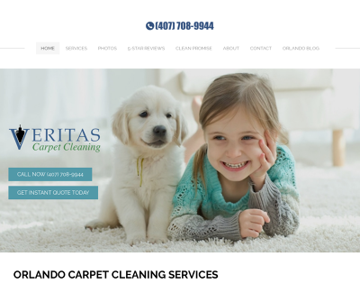 Veritas Carpet Cleaning