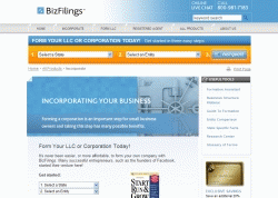 BizFilings BizFilings