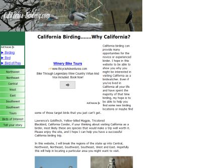 California Birding