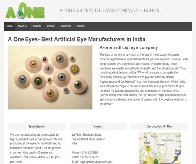 artificial eyes,iris,stockeyes,artificial shell manufacturer,exporter