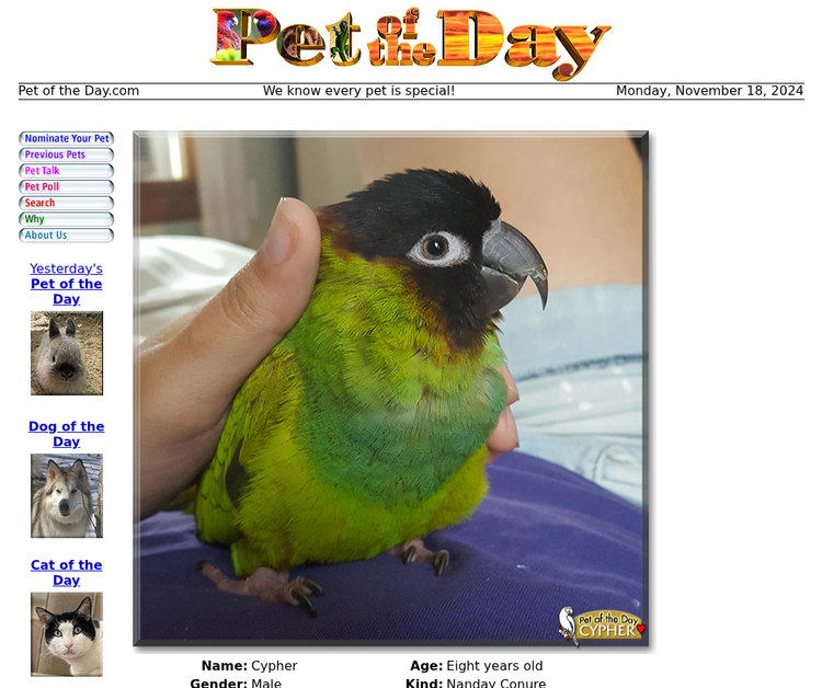 Pet of the Day - Every day a new pet photo and story