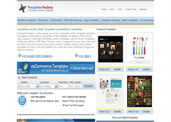 Flash Templates – Making the Right Choice