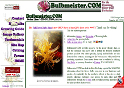 Bulbmeister.COM - Flower Bulbs for the Discerning Gardener