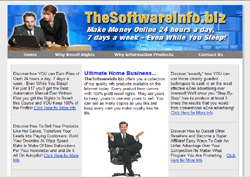 TheSoftwareInfo.biz