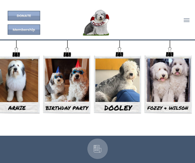 Texas Old English Sheepdog Rescue, Inc.
