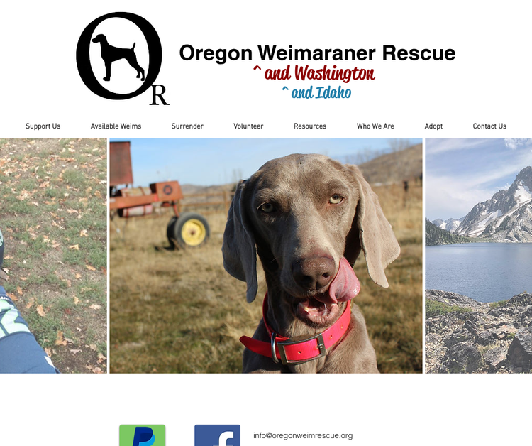Oregon Weimaraner Rescue