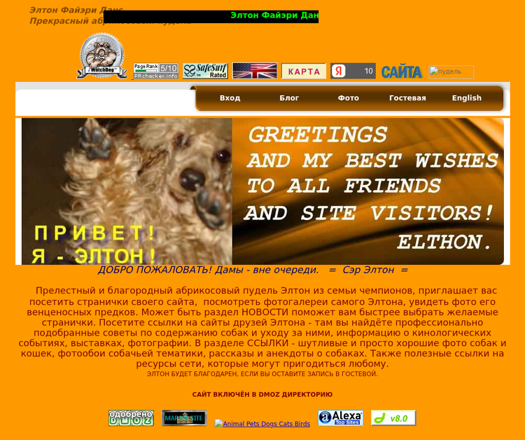 Poodle Elthon Fiery Dance