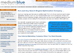 Medium Blue Search Engine Marketing Company