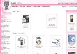 Salon Sales Hairdressing Straighteners