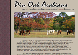 Pin Oak Arabians