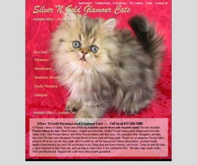 Tabby Kittens For Sale