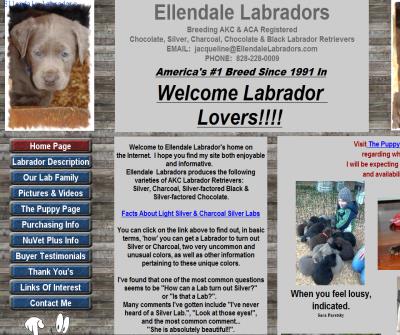 AKC Light Silver & Charcoal Silver Labrador Retrievers