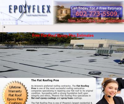 The Phoenix Flat Roofing Pros 