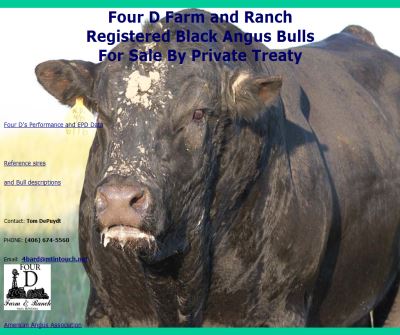 FourD Farm and Ranch, angus bulls for sale.