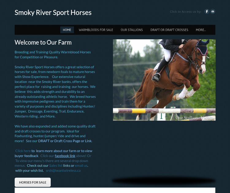 Breeding and Training Quality Warmbloods for Competition or Pleasure.