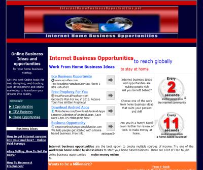 Internet Business Opportunities