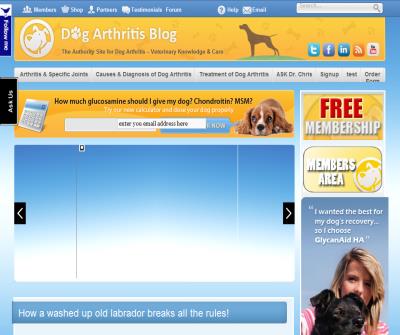 Dog Arthritis Blog