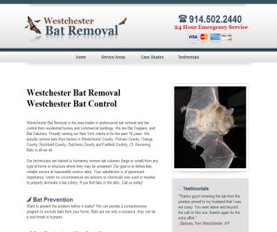 Westchester Bat Removal