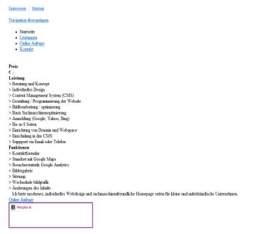 Netzplus Wien - Homepage, Webdesign Erstellen 