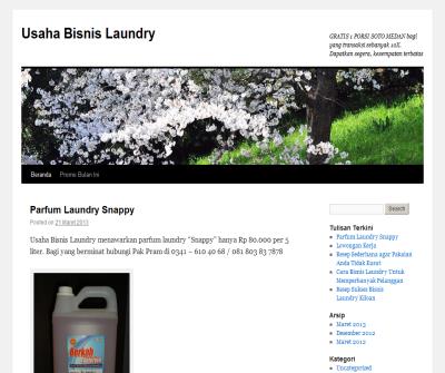 usaha bisnis laundry