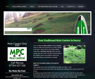 Mole Control Surrey