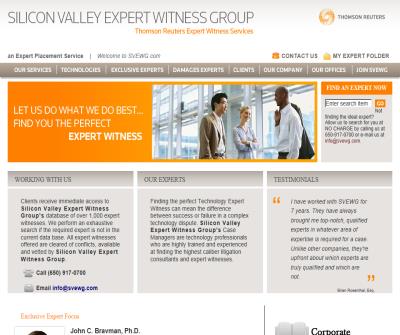 Technical Expert Witnesses