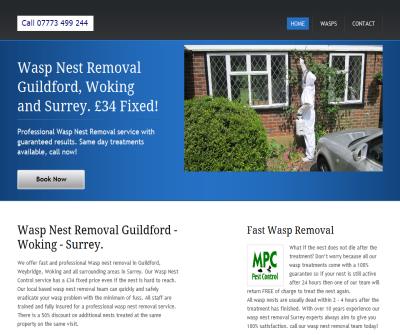 Wasp Removal Surrey