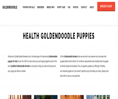 Golden Doodle Breeders