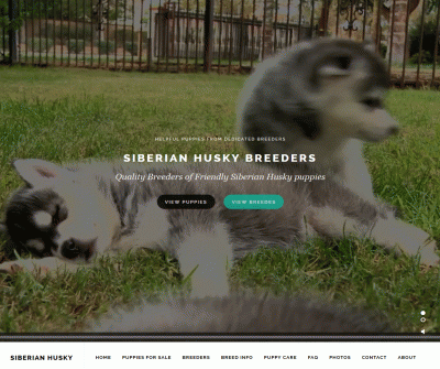 Siberian Husky Breeders