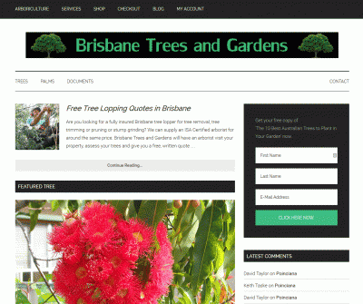 Brisbane Trees and Gardens in Brisbane Australia