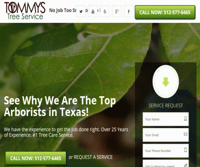 Tommys Tree Service - The Top Arborists in Texas