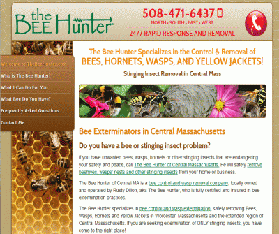 Bee Control in Central Massachusetts 