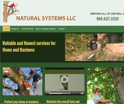 Natural Systems LLC