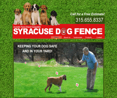 Syracuse Dog Fence