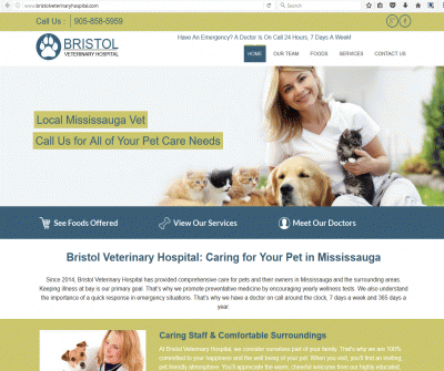Bristol Veterinary Hospital Pet Check-up, Spay/Neuter Mississauga Canada
