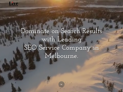 Live SEO Service