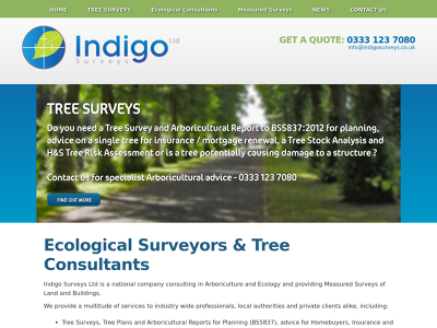 Indigo Surveys