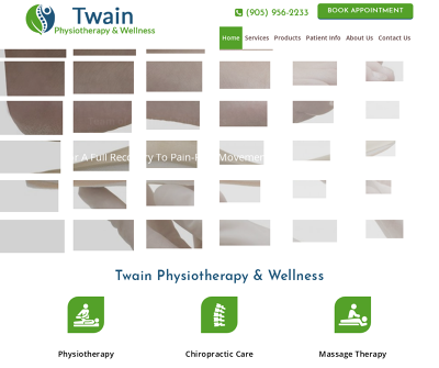 Twain Physiotherapy & Wellness