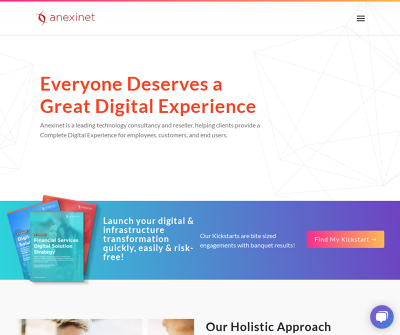 Anexinet: Everyone Deserves a Great Digital Experience