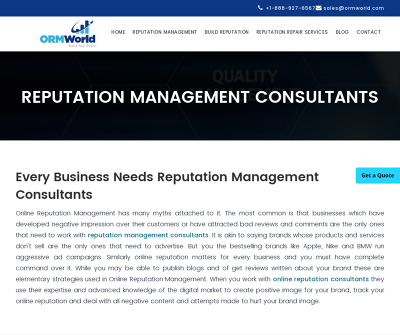 Reputation Management Consulting
