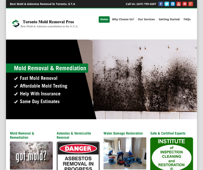 Toronto Mold Asbestos Removal Pros