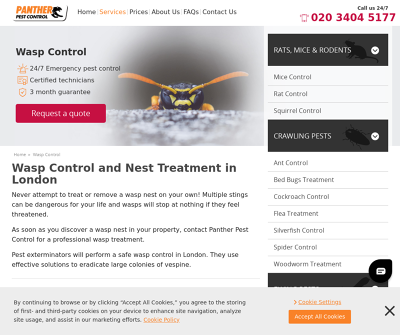 Wasp Control and Nest Treatment in London