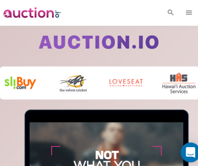 Online Auctions