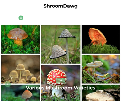 ShroomDawg - Mushroom Farming, Micro-dosing, Meal Recipes, and Medical Treatments